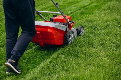 Landscaping and Lawn Care​