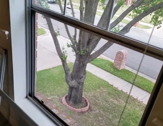 affordable window repair in Minneapolis